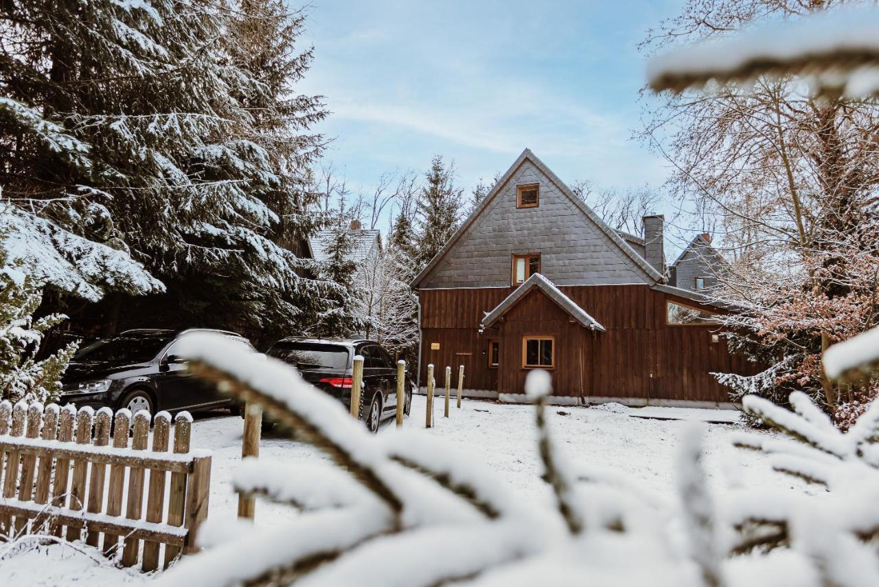 Вілла Harzchalet An Der Brockenbahn 2B Еленд Екстер'єр фото